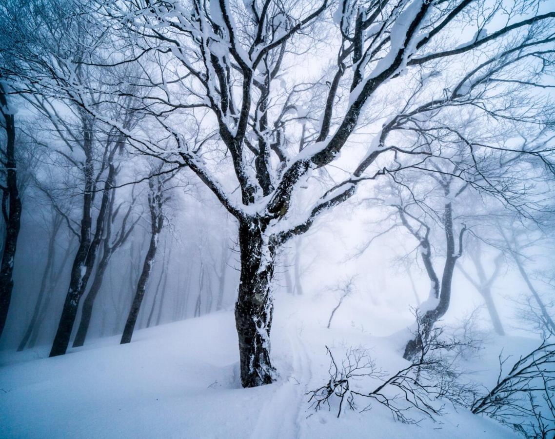 Bed and Breakfast The Joint Hakuba Exterior foto